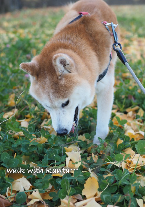 15日夕ブログ３