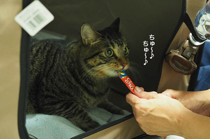 29日夕ブログ５