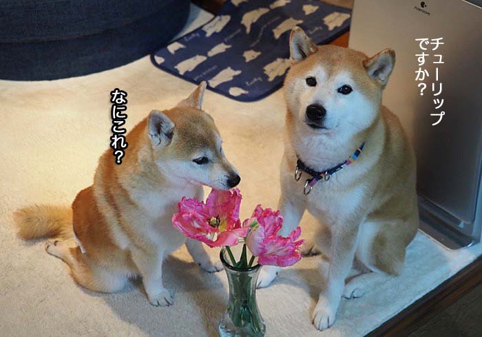 14日ブログ３
