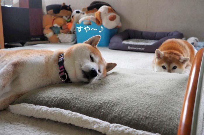 10日ブログ３
