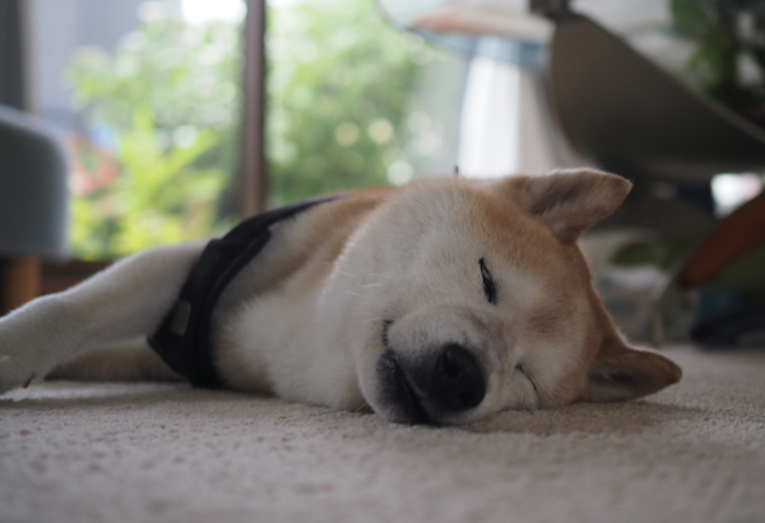 6日ブログ１