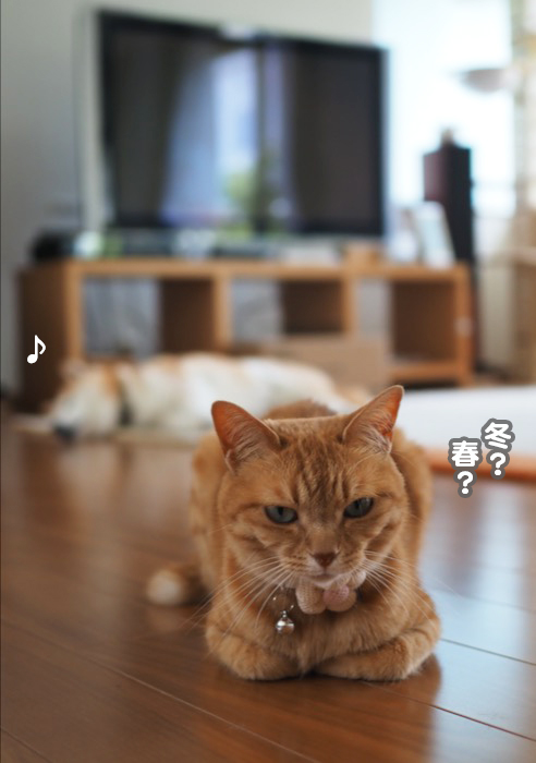 26日ブログ３