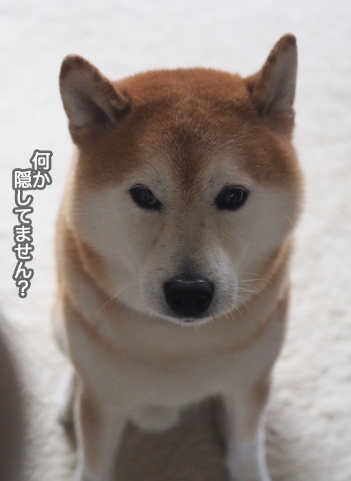 16日夜ブログ２