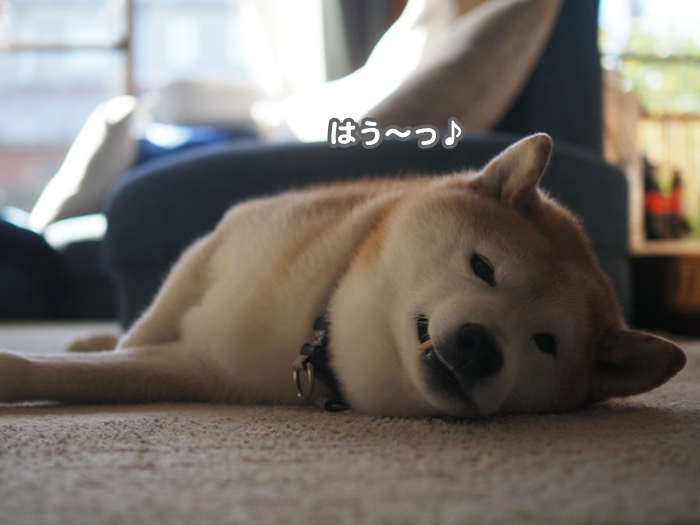 11日ブログ１
