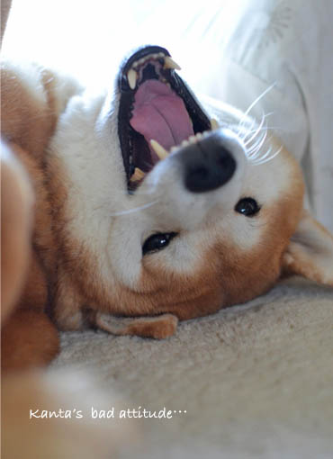 8日ブログ9.jpg