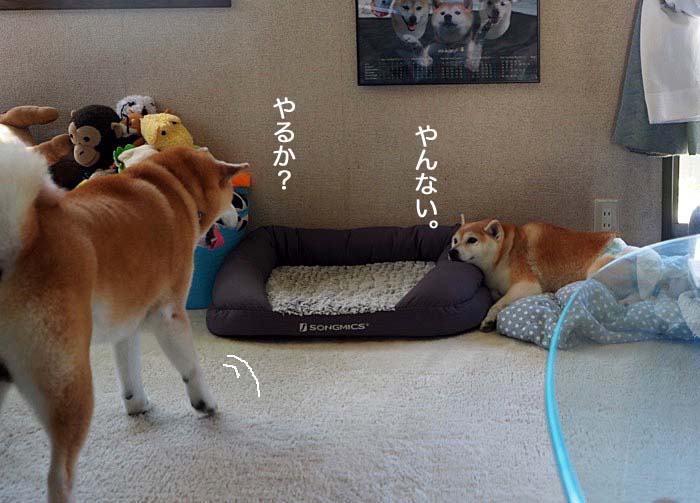 7日ブログ３
