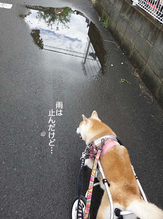 12日ブログ４