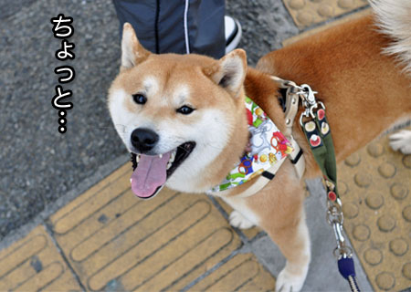 5日ブログ１６.jpg