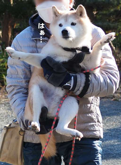 9日夕ブログ８