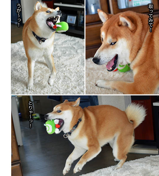 30日ブログ8.jpg