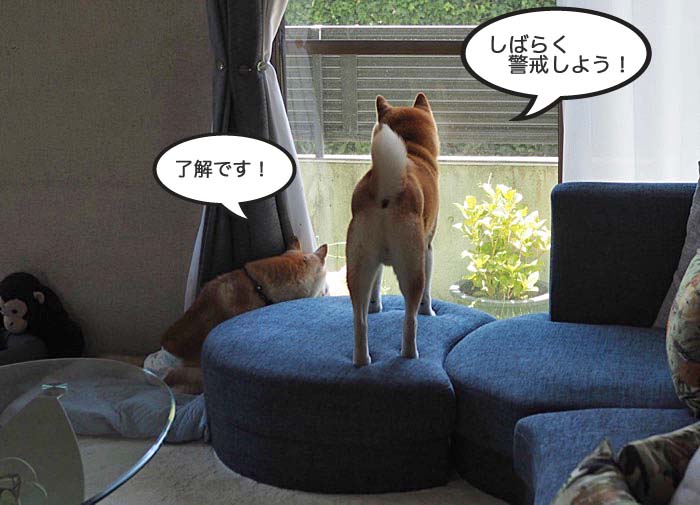7日ブログ７