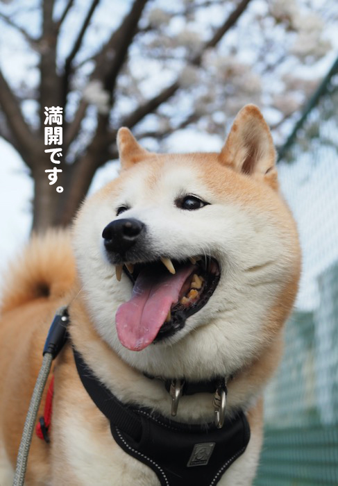 7日夕ブログ３