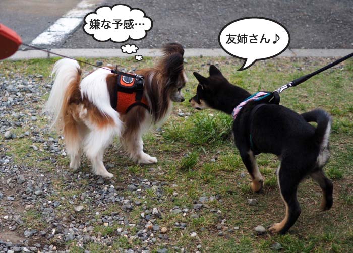 20日ブログ３