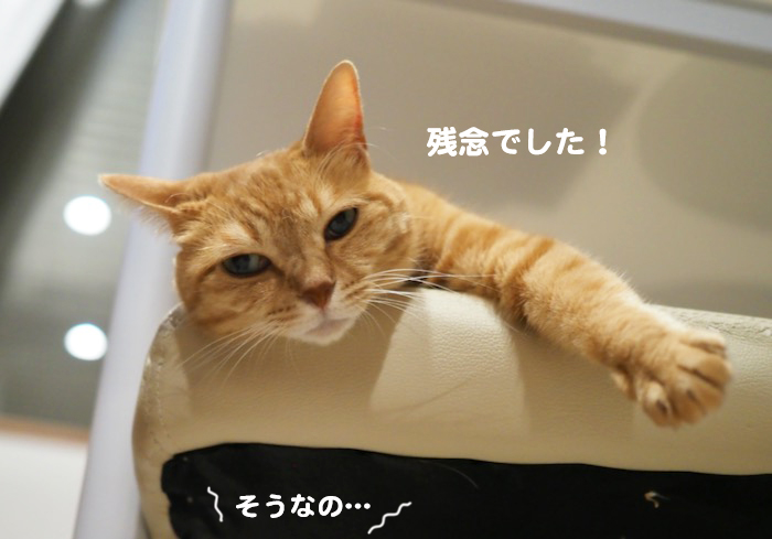1日夕ブログ６