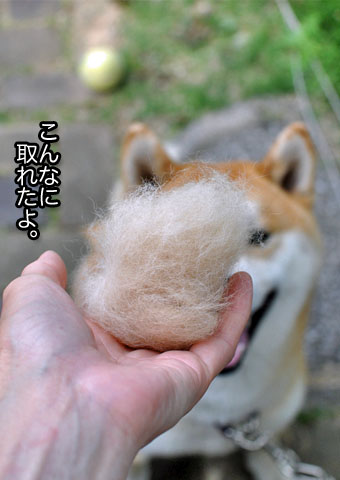 24日ブログ16.jpg