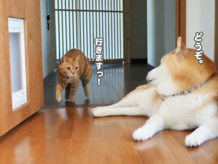 8日夕ブログ８jpg