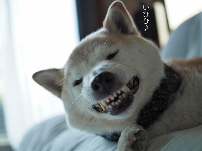29日ブログ12
