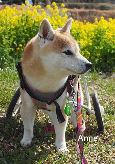 26日午後ブログ３