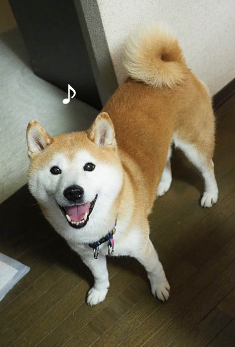 17日ブログ２