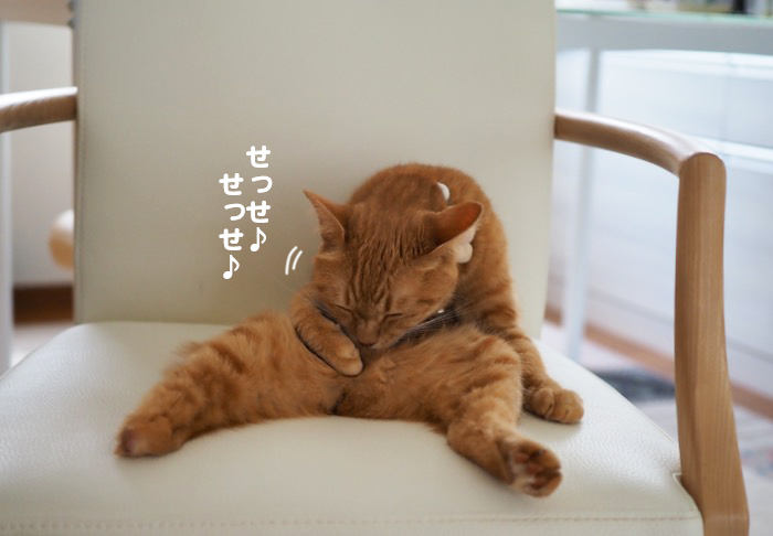 14日夕ブログ４