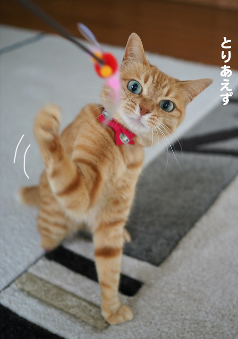 26日夕ブログ４