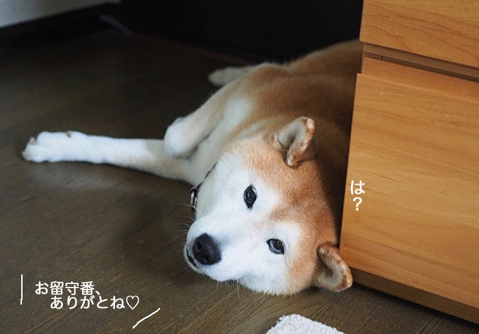 14日ブログ２