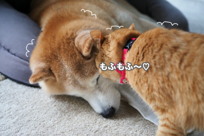 10日夕ブログ１４