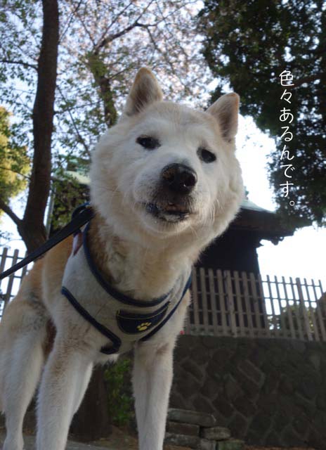 11日ブログ3