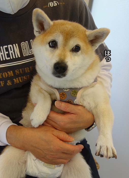 27日夜ブログ５