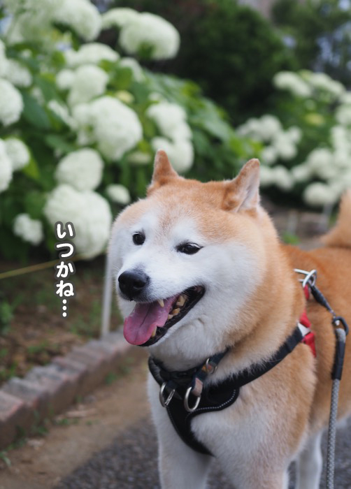13日夕ブログ１７