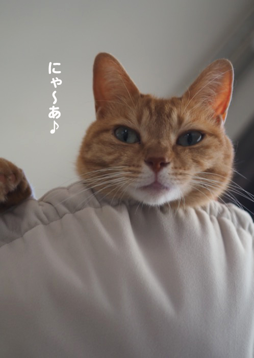 21日夕ブログ３