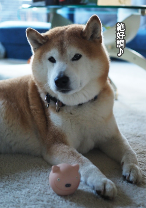 22日夜ブログ１１