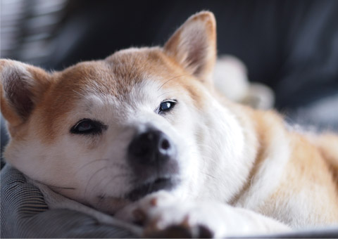 25日ブログ9.jpg