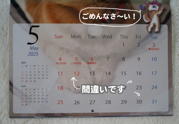 17日ブログ１１