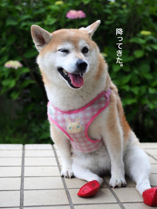 19日ブログ３