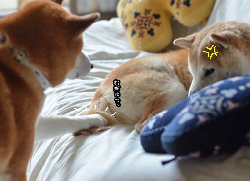 8日ブログ8.jpg