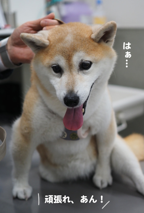 5日午後ブログ５