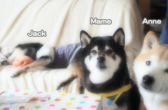 29日夕ブログ８