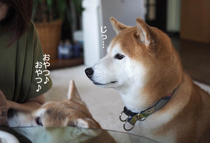 1日ブログ１０
