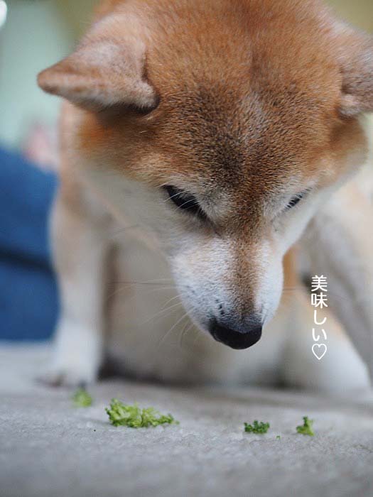 8日午後ブログ９