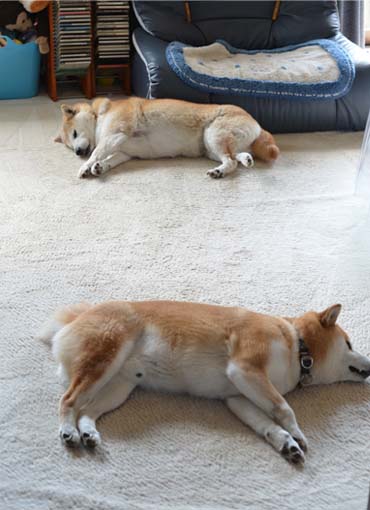 1日ブログ７.jpg