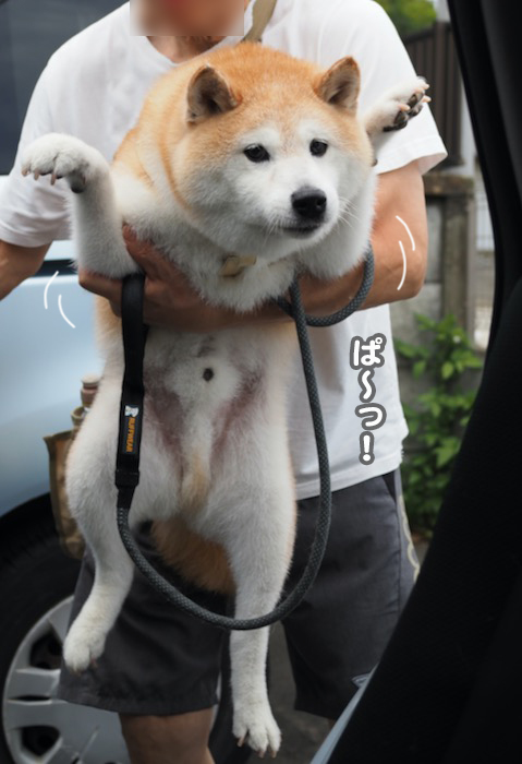 11日夕ブログ６