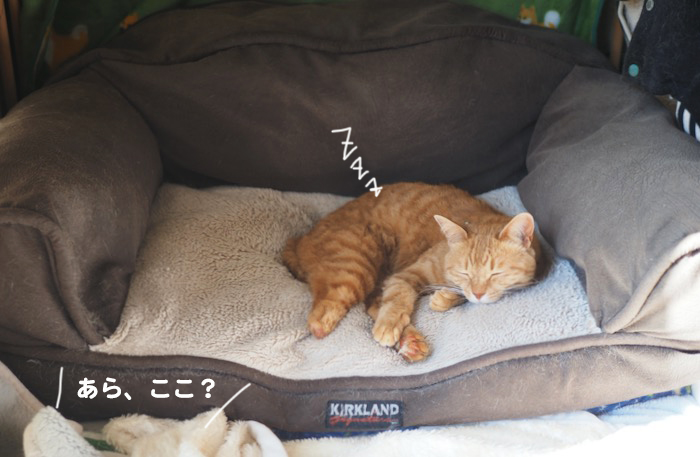 14日夕ブログ２