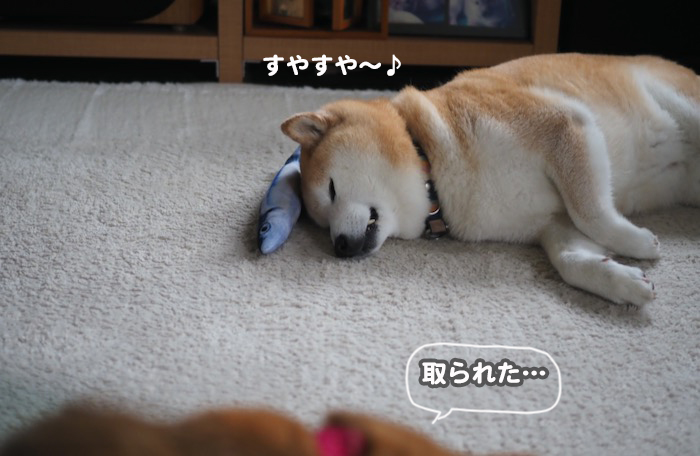 25日夕ブログ4