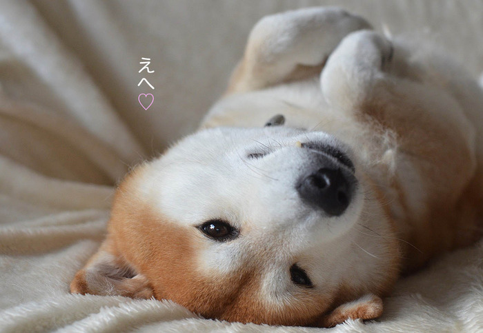 29日ブログ9