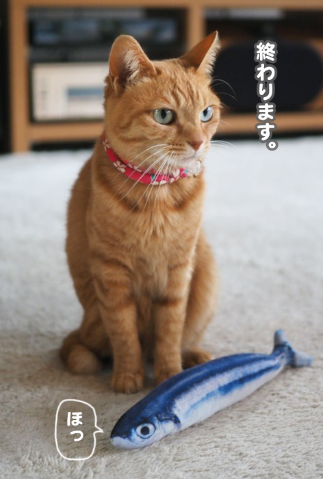 23日ブログ５