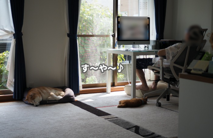 9日ブログ１
