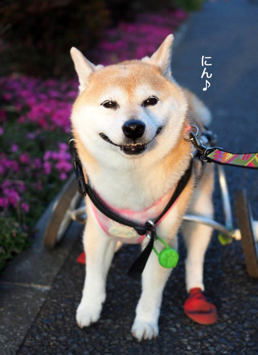 16日夜ブログ２