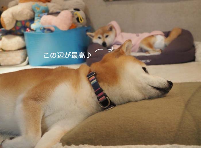 17日夜ブログ６