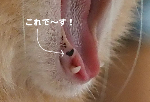 7日ブログ４
